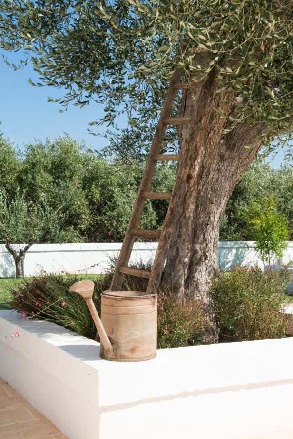Masseria Le Torri Polignano a Mare Ngoại thất bức ảnh